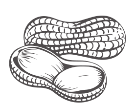 Shape Image